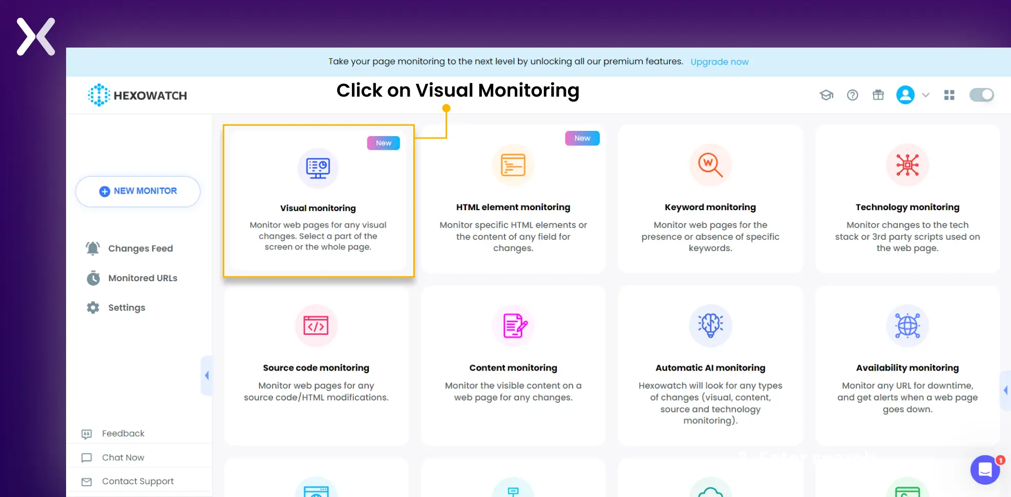 visual-monitoring-on-hexowatch.webp